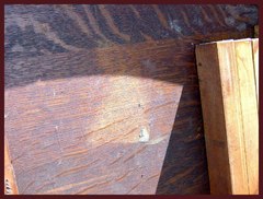 Shadow and remnant of the original paper label under the table top.